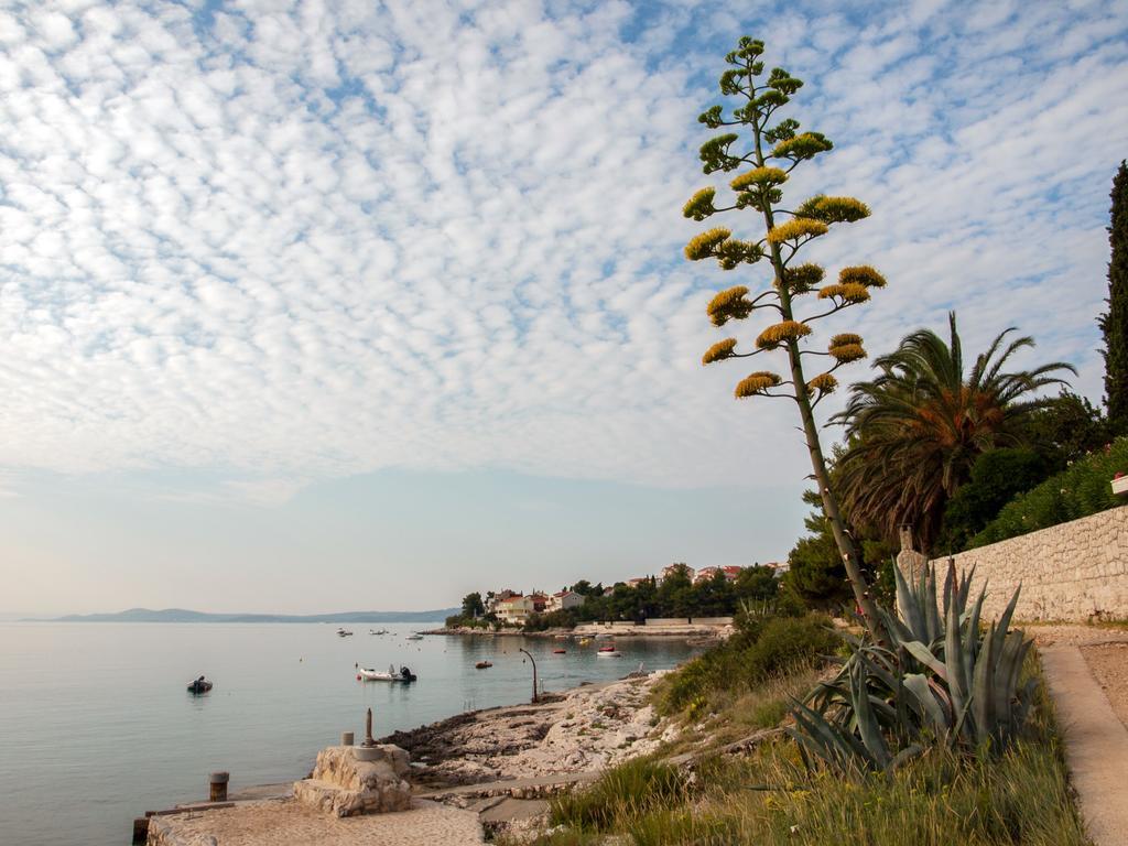 Villa Clematis Trogir Zewnętrze zdjęcie